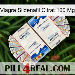 Viagra Sildenafil Citrate 100Mg kamagra1